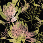 Dark Hand Drawn Protea Wallpaper