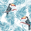 Toucan Birds Wallpaper