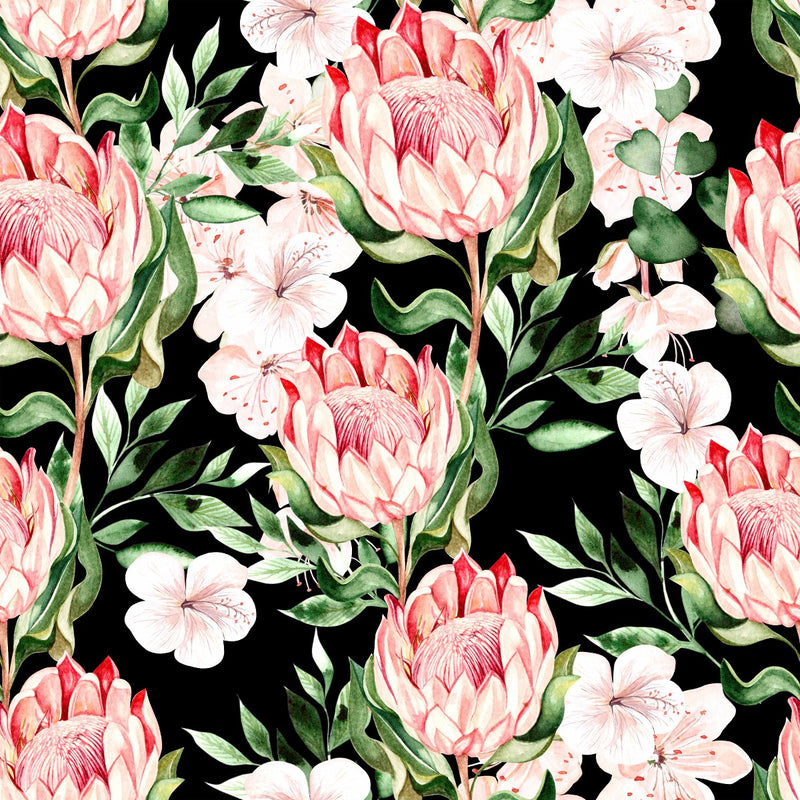 Contemporary Modern Dark Wallpaper with Protea