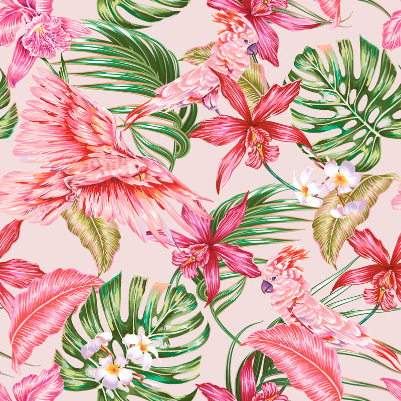 Pink Parrots Wallpaper
