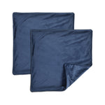 Velvet Solid Decorative Pillow Cover 2-Pack Set