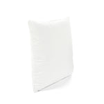 Velvet Solid Decorative Pillow Cover 2-Pack Set