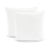 Velvet Solid Decorative Pillow Cover 2-Pack Set