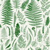 Fern's Branches Wallpaper
