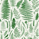 Fern's Branches Wallpaper
