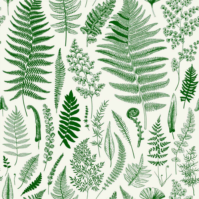 Fern's Branches Wallpaper