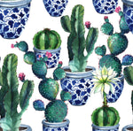 Cactus in Pot Wallpaper