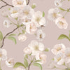 Elegant Cherry Tree Wallpaper Tasteful