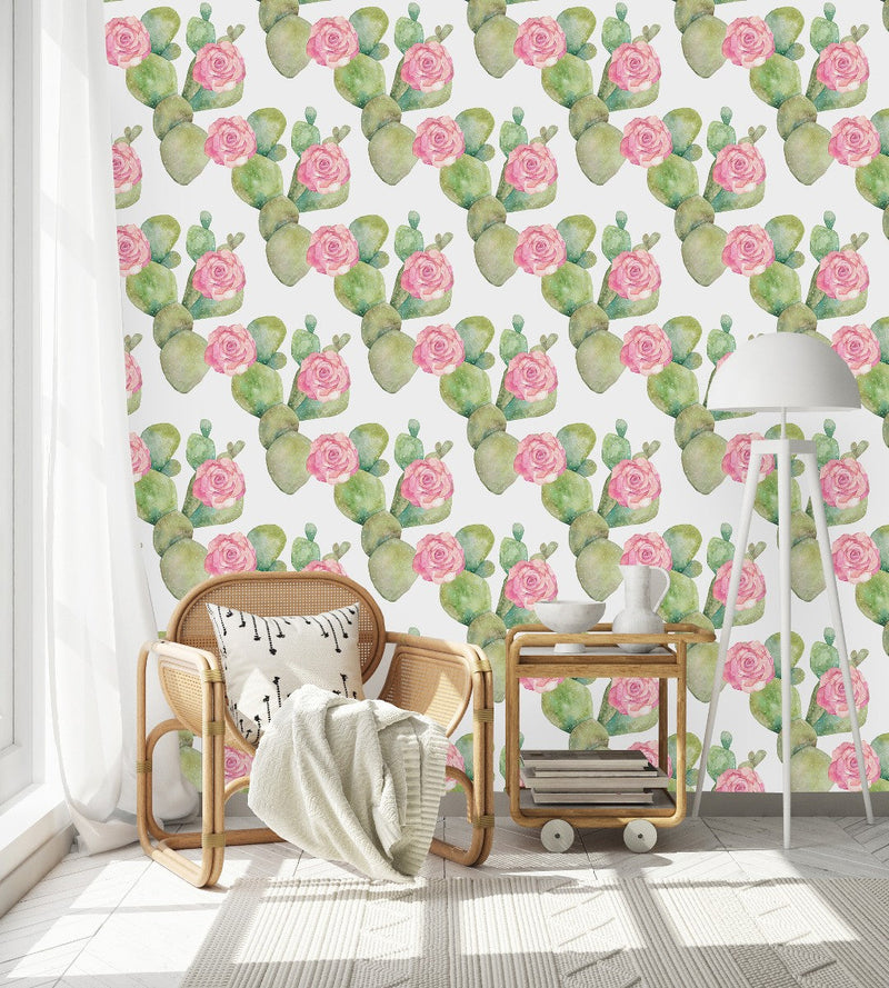 Cactus Wallpaper on White Background