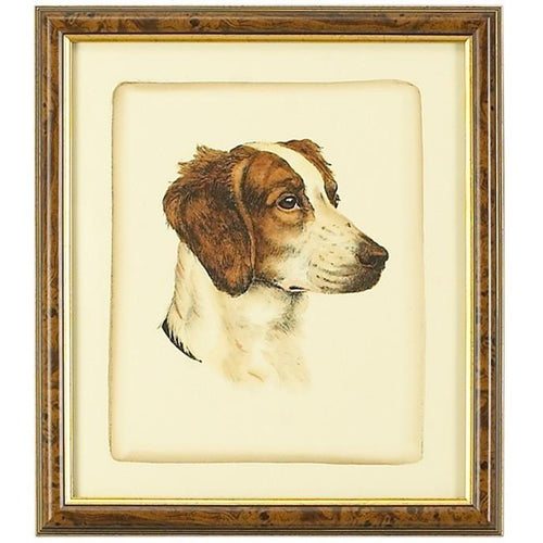 Danchin Brittany Spaniel Hand Colored Print - LOVECUP