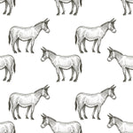 Donkeys Kids Wallpaper