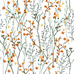 Orange Wildflowers Wallpaper