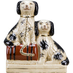 Staffordshire Double Spaniel Dog Reproduction