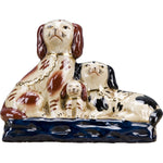 Staffordshire King Charles Spaniel Family Dog