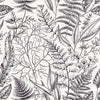Dark Plant's Leaves Wallpaper