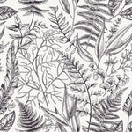 Dark Plant's Leaves Wallpaper
