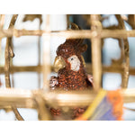 Lovecup Bronze Bird Cage Vase with Parrot L338