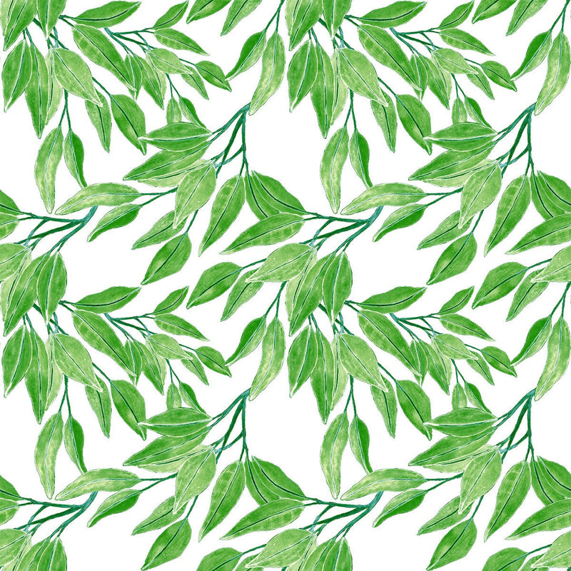 Green Leaves of Tree Wallpaper
