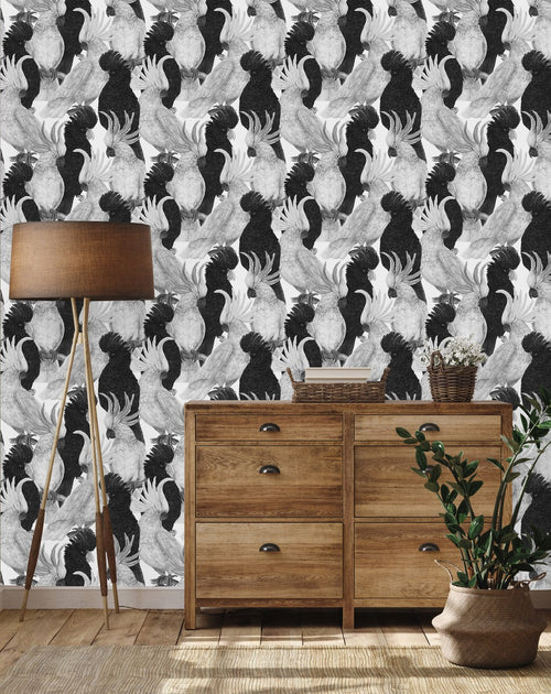 Black and White Parrots Wallpaper
