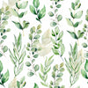 Species of Plant's Leaves Wallpaper