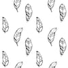 Black and White Feathers Wallpaper
