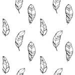 Black and White Feathers Wallpaper