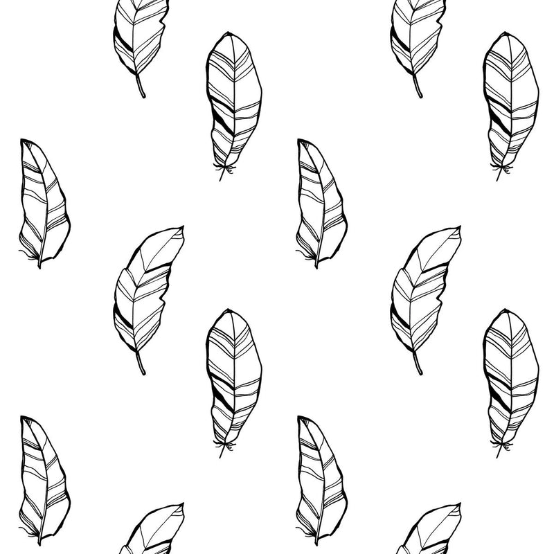 Black and White Feathers Wallpaper