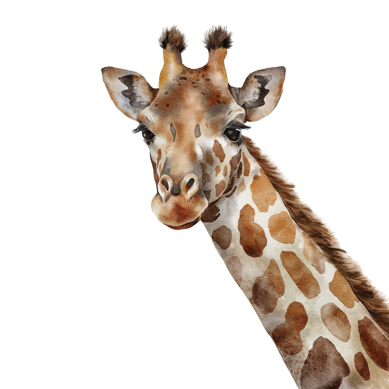 Giraffe Wallpaper