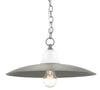 Currey and Company Eastleigh Pendant 9000-0609