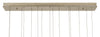 Currey and Company Pepper Rectangular 15-Light Multi-Drop Pendant 9000-0692