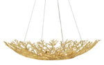 Currey and Company Sea Fan Bowl Chandelier 9000-0780