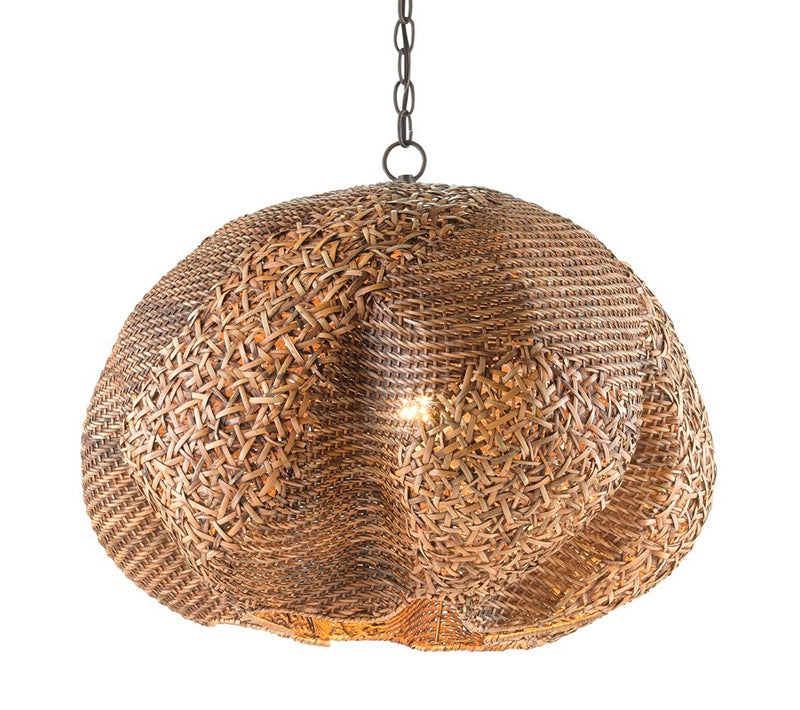 Currey and Company Spiritus Pendant 9000-0791