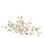 Currey and Company Lunaria Oval Chandelier 9000-0816