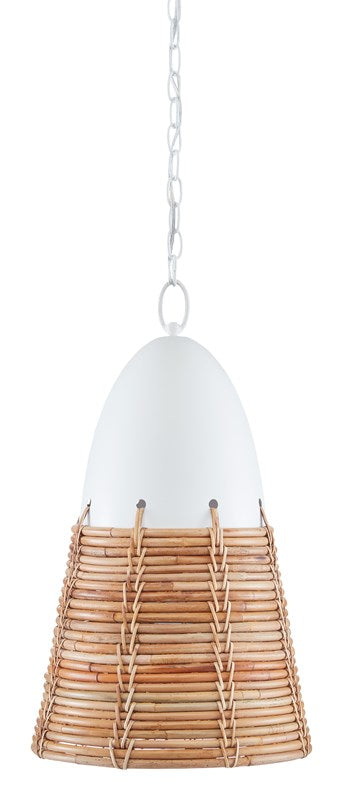 Currey and Company Arundo Pendant 9000-0840