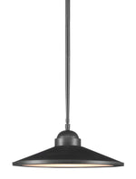 Currey and Company Ditchley Pendant 9000-0859
