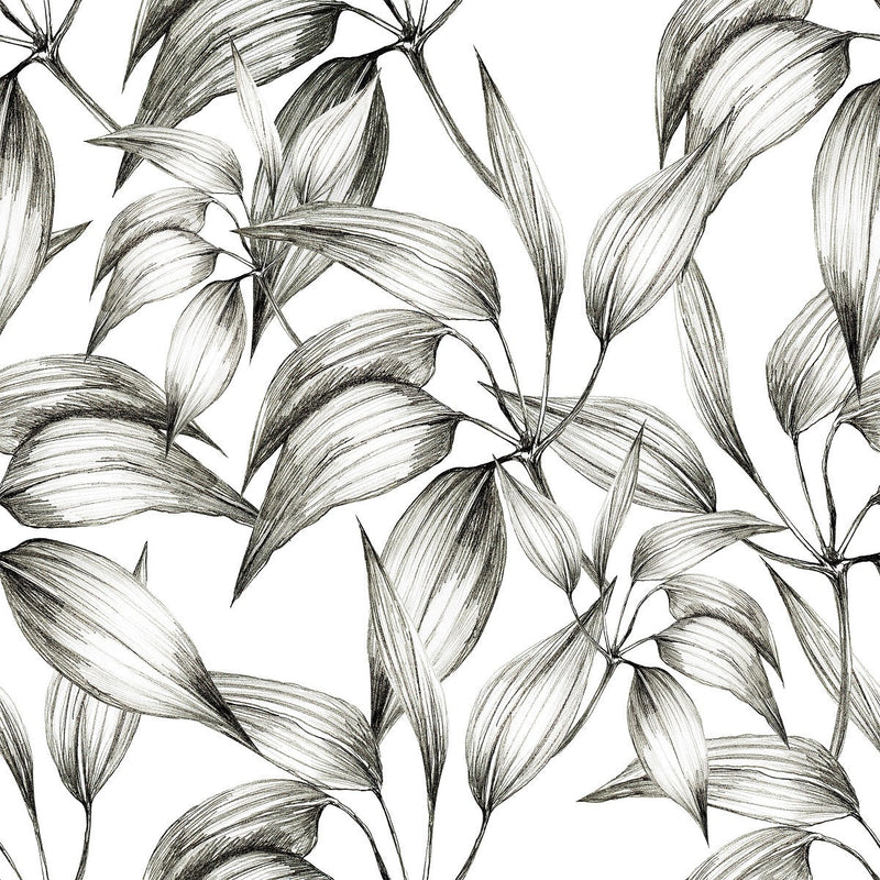 Fashionable Black and White Leaves Wallpaper Chic High-Quality