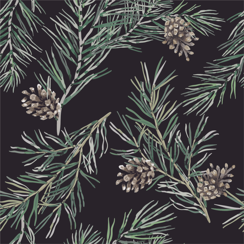 Fir Branches Wallpaper