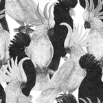 Black and White Parrots Wallpaper
