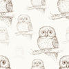 Owls Wallpaper for Kids