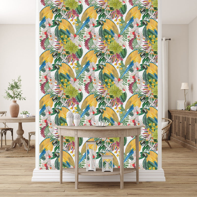 Parrots on White Background Wallpaper