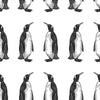 Penguin Wallpaper