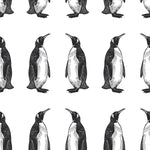 Penguin Wallpaper