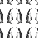 Penguin Wallpaper