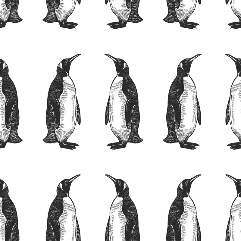 Penguin Wallpaper