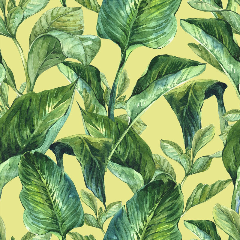 Contemporary Green Plants Wallpaper Smart