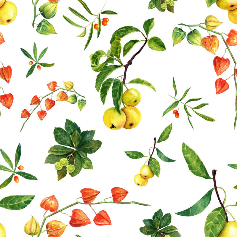 Apple on White Background Wallpaper