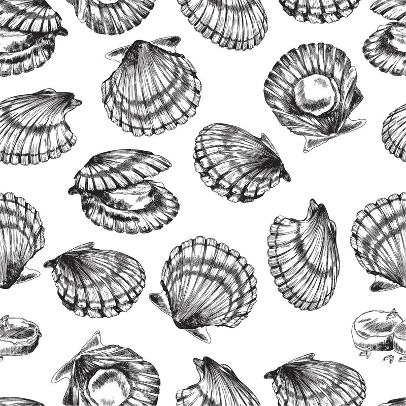 Shell Design Wallpaper