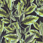 Stylish Dark Wallpaper with Leaves Smart