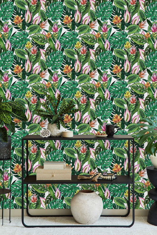 Elegant Monstera Plants Wallpaper Chic