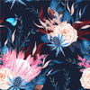 Protea on Dark Blue Wallpaper